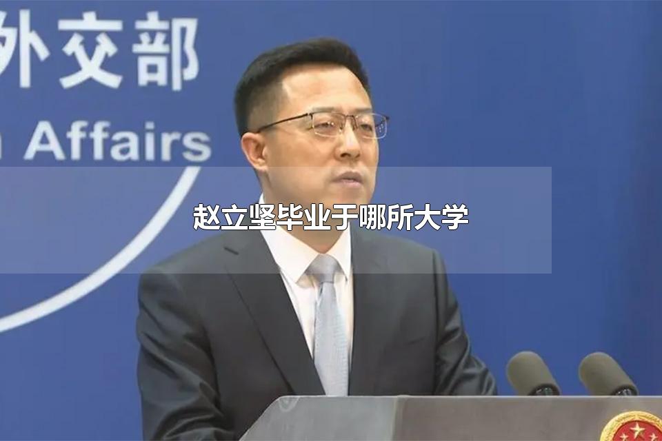 赵立坚毕业于哪所大学 赵立坚懂几国语言