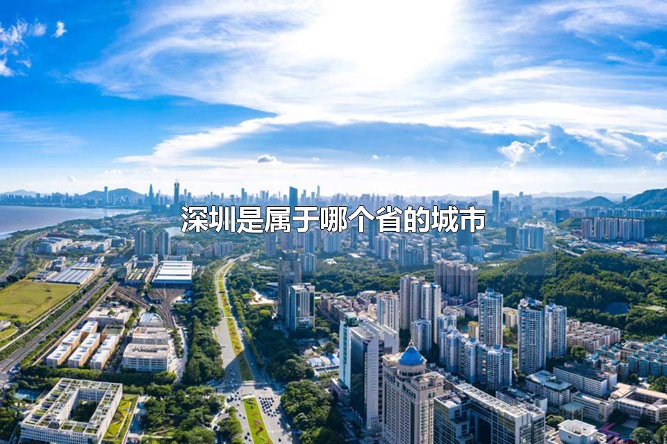 深圳是属于哪个省的城市 深圳有多大
