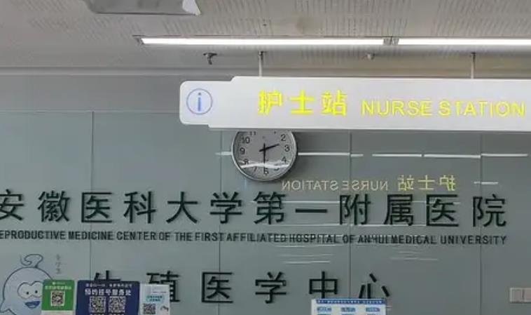 试管婴儿