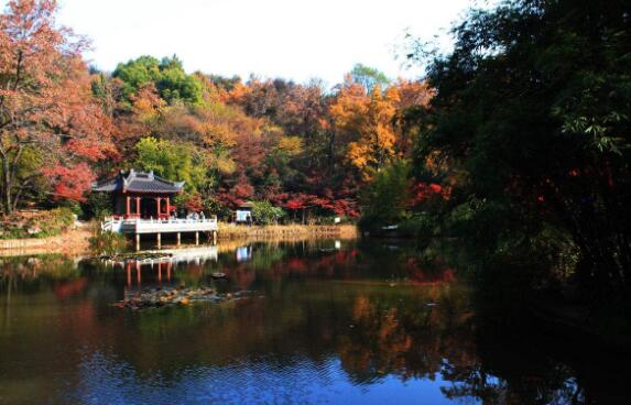 南京必去景点排名,夫子庙吃货必去,总统府等景点有浓厚历史性