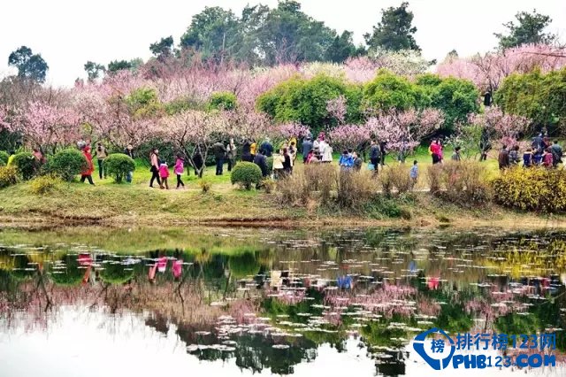 国内十大赏梅胜地