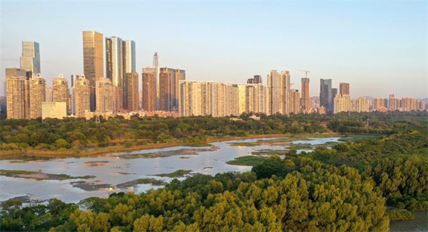 深圳一楼盘送60万首付