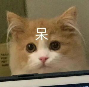 你会嗨起来吗？！五一假期可以拼出9天长假