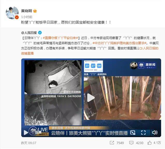 黄晓明期盼丫丫早日回家