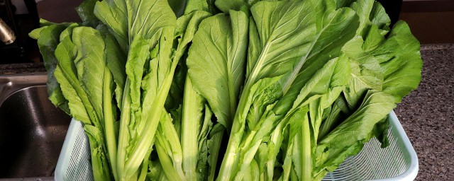 芥菜怎么保鲜效果最好 芥菜的保鲜储存方法介绍