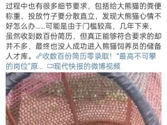 招聘大熊猫饲养员数百份简历零录取