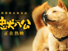 《忠犬八公》全新特辑曝光 狗狗主演竟是流浪狗