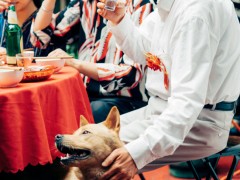 《忠犬八公》片段 浓浓烟火气中述说父爱炽烈深沉